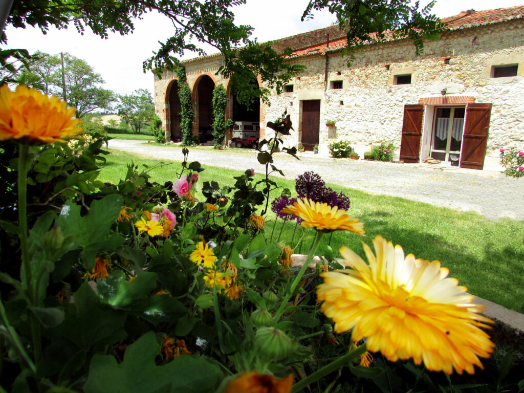 gite-en-pascot-lauragais gite en pascot lauragais